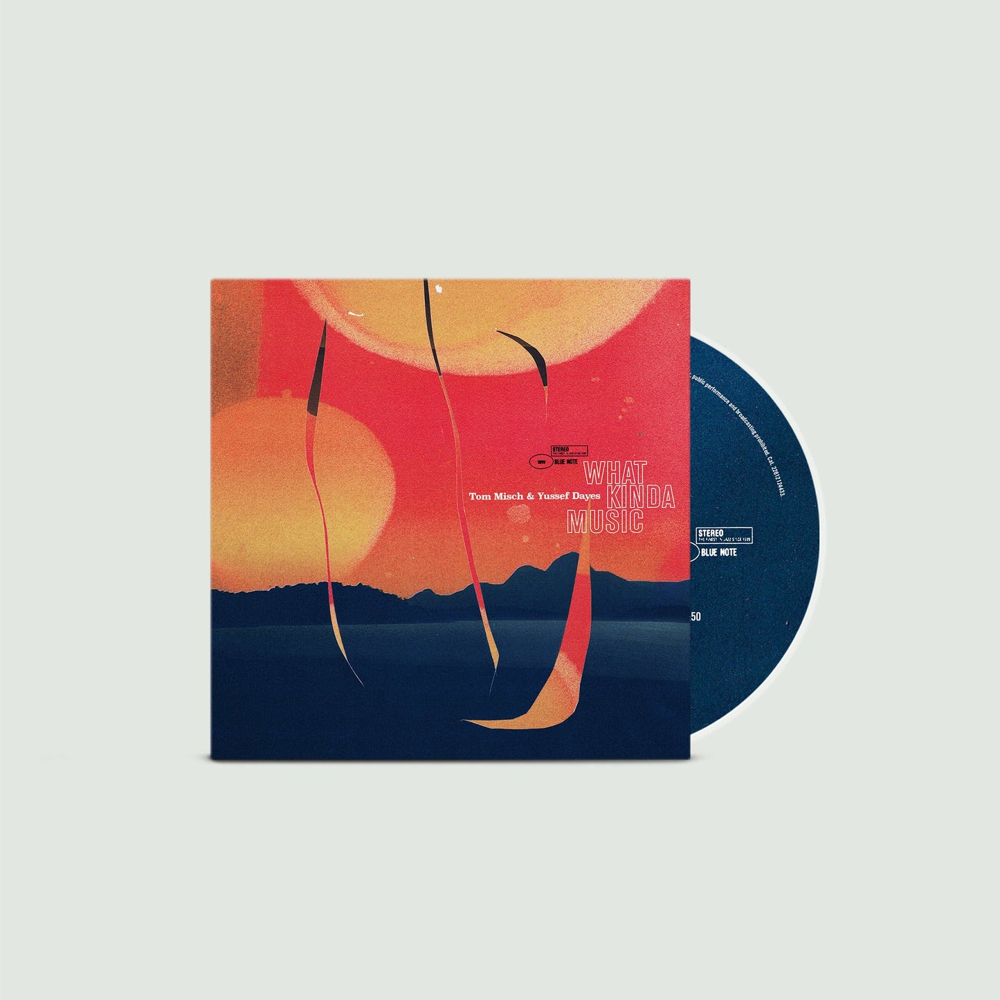 What Kinda Music (CD)