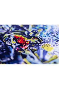 Live Print - Signed
